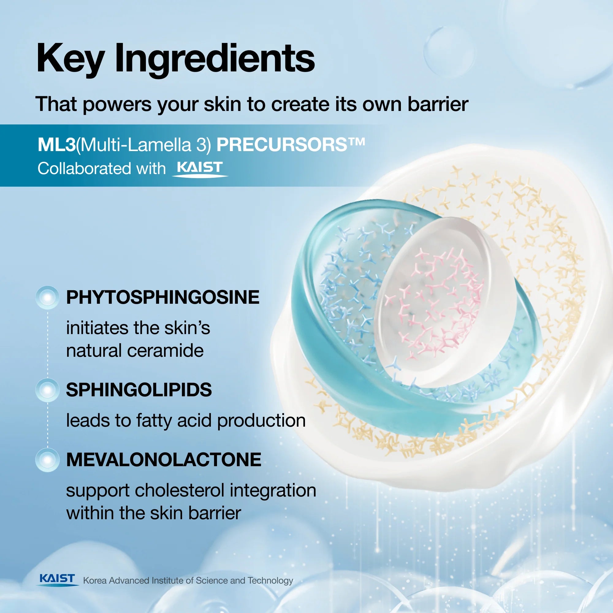 Anua, Barrier Reboot Intensive Cream, 100ml