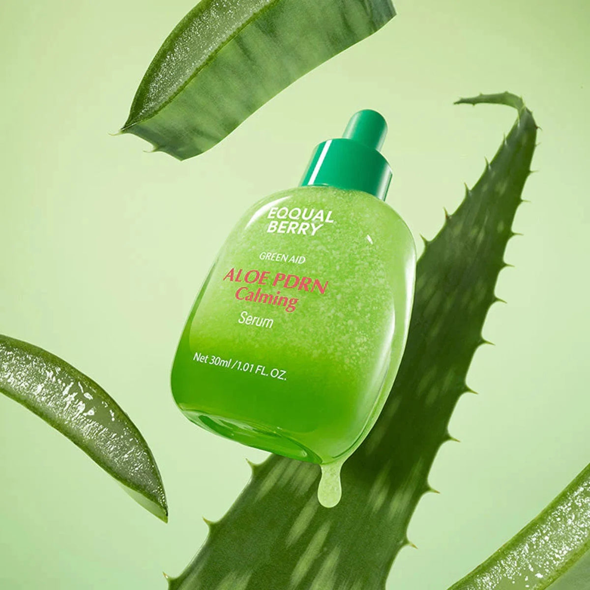 EQQUALBERRY Aloe PDRN Calming Serum bottle with leaves on a green background